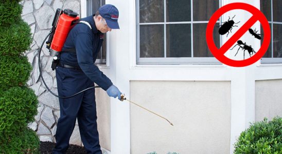 Akkışla Kene İlaçlama böcek ilaçlama ve haşere kontrolü — ilaclama-tr.com